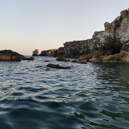 Бунгало Парк Summer Life Hotell Tiulenovo Exteriör bild